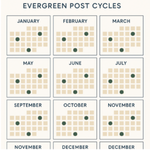 A content calendar emphasizing evergreen post cycles